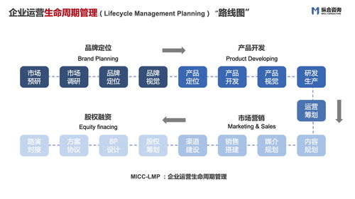 纵合咨询MCC 以精准战略定位与卓越管理赋能企业成长