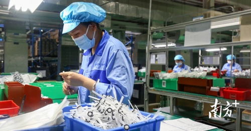 以厂为家 桥头企业上下一心重防疫稳生产的管理咨询实践